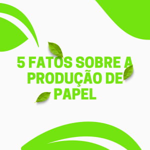 5 fatos sobre a produção de papel